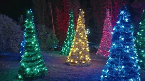 Colorful Christmas Pine Fir Trees Decoration Green Yellow Red Blue LED Lights