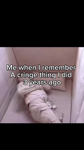 Funny Monkey Videos: Hilarious Monkey Moments