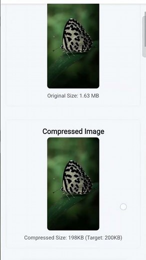 How to reduce image size from MB to KB? Compress JPEG to 200KB #jpeg #imagecompressor #shorts
