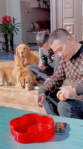 Funny Dog Videos 🔴🐶🐶 #reels #reelsfb #reelsviral #reelsvideo #reels2023 #dog #dogsofinstagram #dogs #puppy #doglover #dogstagram #dogoftheday #doglife #instadog #doglovers #love #pet #puppylove #cute #puppiesofinstagram #pets #puppies #instagram #dogsofinsta #doggo #cat #dogphotography #petsofinstagram #doglove #ilovemydog #animals #hund #petstagram #dogslife #instagood #puppy #dog #dogsofinstagram #puppylove #dogs #puppiesofinstagram #dogstagram #dogoftheday #doglover #puppies #instadog #dog