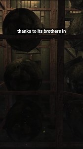 47K views · 1.3K reactions | Thing you may not have know about Fallout 3 Video by jet.big on TikTok #happybirthdayfallout3 | Fallout Fan Art | Facebook