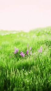Landscape view of green grass on slope