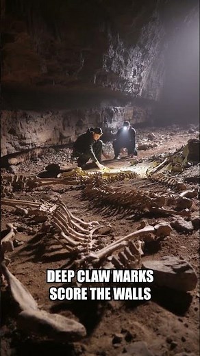 Scientists Find Evidence of Giant Predator Inside Cave System