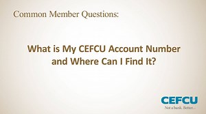 2.1K views · 17 reactions | As you prepare for the upcoming tax season, remember to use your correct account number format to ensure your refund direct deposit is correctly formatted! Check out this video to learn more! | CEFCU | Facebook