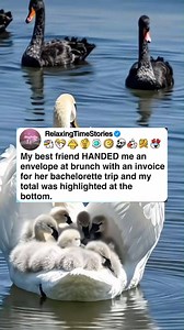 10K views · 50 reactions | My best friend HANDED me an envelope at brunch with an invoice for her bachelorette trip and my total was highlighted at the bottom. #askreditt #reditt #aita #redditposts #redditstorie #redditstorytime #relationships #tifu #reel | Sweet fun | Facebook