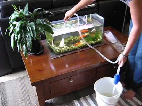 Grizley Aquarium Gravel Cleaner Syphon