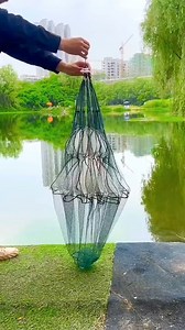 Foldable fishing trap fishing gear and tools #fishing #fishinggear #fishingaccessories #fishingtime #fishingvideos #fishinglife #fishingtackle #fishing #fishingtipshingtips #fishingaccessories | Thewishingrod.com