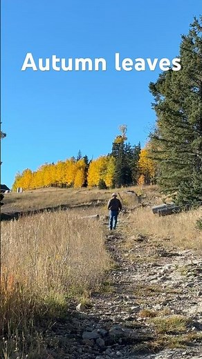 Autumn Foliage Hike 🌄 | Sea of Clouds & Golden Cottonwoods