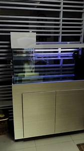 📍CAVITE 🚚🚚🚚 75 Gallons Turtle Tank Enclosure 48x18x20" with Cabinet and Filtration System Set 🦈😎 Thank you Mam Meicel for ordering! Enjoy and Happy Fish Keeping!🐟🐟🐟 Tested & Trusted by Thousands of Fish Hobbyist🤝🦈😎 #aquaglowmnl #aquaglow #hobbyist #aquarium #aquariumcabinet #monstertank #fishhobbyist #cabinet #trendingreelsvideo #fbreelsfypシ゚ #fbreelsvideo #reelsfypシ #reelsfacebook #hobby @topfans | AQUA GLOW