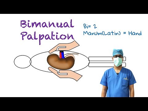 Bimanual Palpation