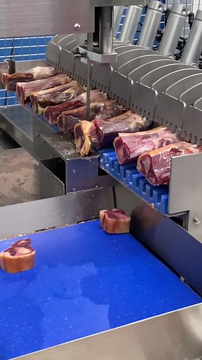Automatic Band Saw..!! #fabretallgroup #fabretall #daddyyankee #viral #pourtoi #paravoce #foryou #parati #world #tiktok #tiktoker #food #meat #me