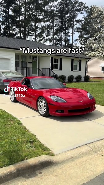 TikTok · Wyatt Raynor