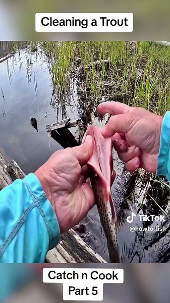 Cleaning a Trout: Step-by-Step Guide on a Mountain