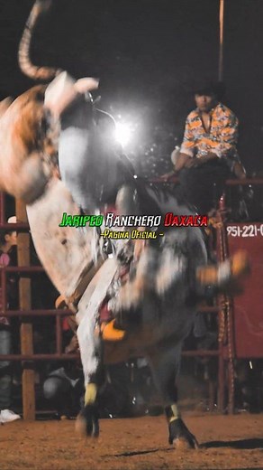 Lagrimas al suelo era muy fuerte a grapa !!! #JaripeoRancheroOaxaca #sangreporfama #JaripeoSinFronteras #jaripeoprofesional #jaripeoranchero #JaripeoExtremo #jaripeo #JaripeoBaile #JINETES #jaripeo2025 | Jaripeo Ranchero Oaxaca