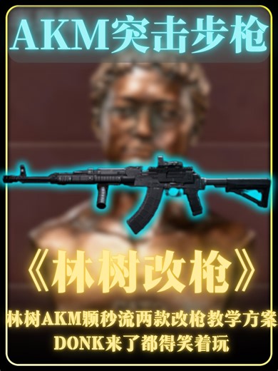 林树AKM颗秒流两款改枪教学方案 DONK来了都得笑着玩