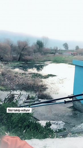 ✺GUNES❦KALBİM❦SEN✺ (@gunes_kalbim_sen) adlı kullanıcının orijinal ses - kenanferdici ile oluşturduğu videoları