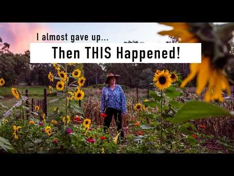 The Joy of Rain and The Resilience of Plants + A Mini a Farm Tour.