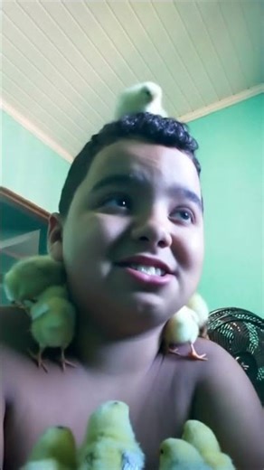 27 de março de 2026