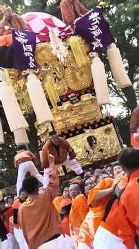太鼓台紹介⑱【 新須賀太鼓台 】川西地区✨ #新居浜太鼓祭り
