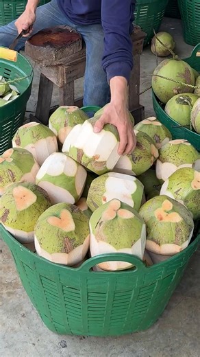 Coconut Haven! How to Cut Coconut for Export