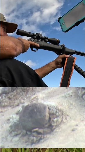 Thompson Center Impact SB 50 Caliber Muzzleloader // Cheddite Clerinox CX2000 Primers 209 Shotshell