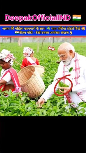 🇮🇳PM Modi seen plucking 🍃tea leaves with women workers in Assam—watch his unique style #shorts