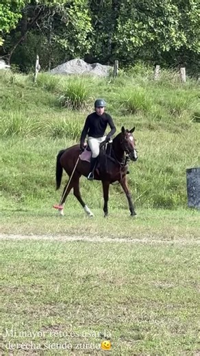 Videos de David Sáez (@david.sez11) con “son original - bruce”