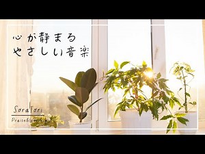[BGM] Soothing Music to Calm the Mind / Relaxation & Healing / Calming Melodies [No Ads]