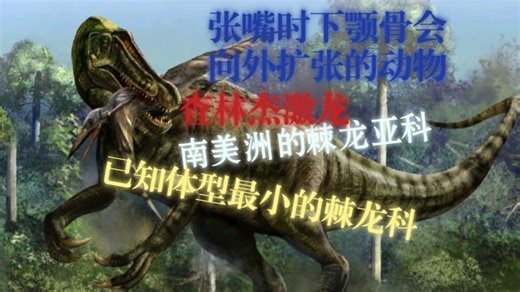 〖古生物科普〗南美洲会把嘴咧开的棘龙亚科——激龙