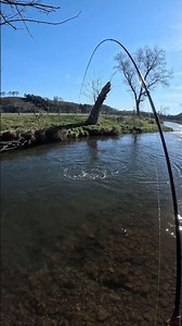 Big rainbow trout crushing a black woolly bugger!! #troutfishing