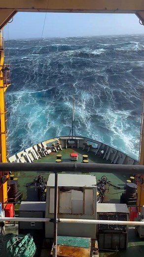 Ocean Vibes: A Day in Sailor and Ship Life