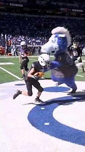 MASCOT VS. PEEWEES🔥 ‪@colts‬ ‪@NFL‬