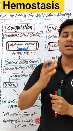 hemostasis|hemostasis physiology|hemostasis and blood coagulation physiology|hemostasis kya hai