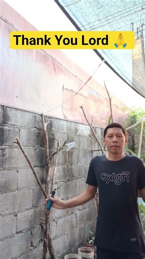 Surrender! Thank you Lord for today!