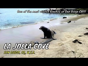 La Jolla Cove - Southern California's Most Photographed Beach!!! - San Diego CA USA | Travel Vlog