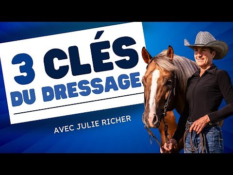 Les 3 Clés du Dressage pour Maîtriser les 5 Parties du Corps de Votre Cheval 🐴