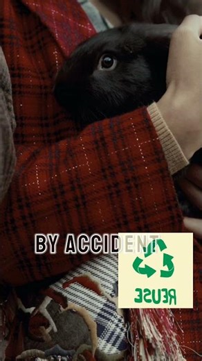 5 Shocking Rabbit Facts That Will Blow Your Mind 🐇