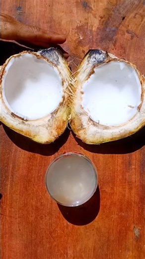 Fresh Coconut Drink | Natural Coconut Juice Recipe | Healthy Summer Drink
