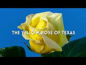 THE YELLOW ROSE OF TEXAS (CIVIL WAR SONG COVER) Performed by local Gettysburg Group