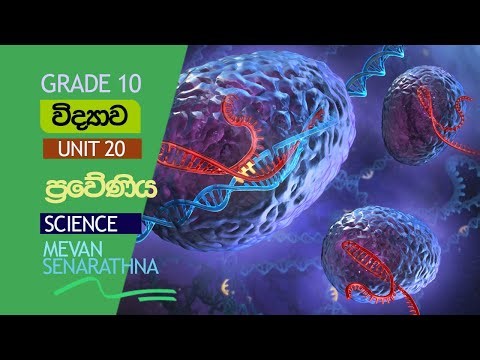 Grade 10 - Science - Unit 20 - DAY 02