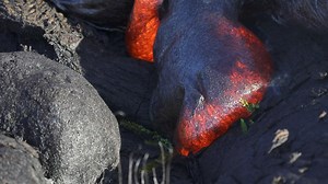 The movement of lava can blow your mind🤯 | EpicLava