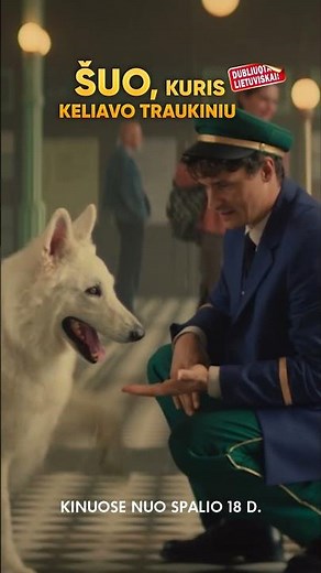 ŠUO, KURIS KELIAVO TRAUKINIU - nuotykių filmas visai šeimai - TIK KINUOSE lietuvių k. nuo spalio 18