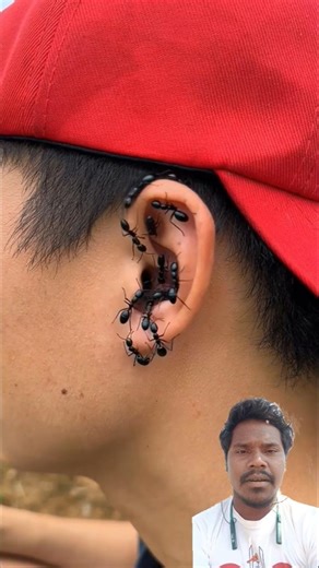 Survival Skills: Useful and Clever #outdoors#survival #campfire #bushcraft