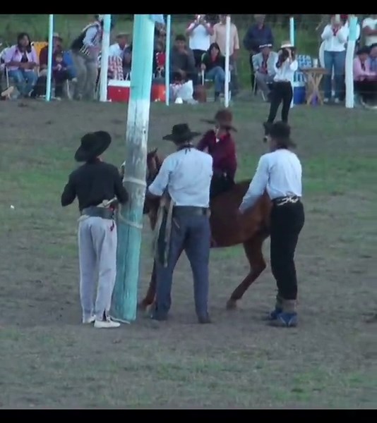 Jineteadas y Caballos de Carrera: La Pasión Gaucha