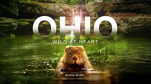 Ohio’s wild side hits IMAX: See bald eagles and swans soar