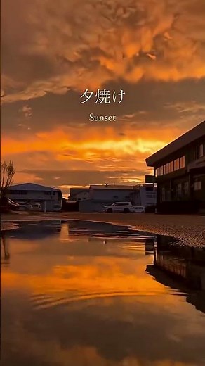 My Favorite Season in Japan | 日本の春、桜の季節 🌸 #日本 #travel #旅行 #japantravel #japanshorts #nature