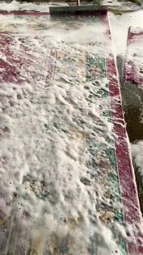 Cleaning this dirty rug #clean #cleaning #cleargenius #cleaninghacks #rug #rugtok