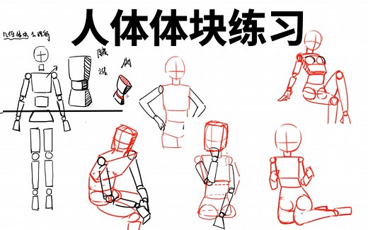 适合新手学人体结构的体块练习方法!!