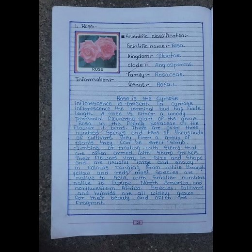 Take photographs of different inflorescences and classify them.... 11th class project (Handbook)...