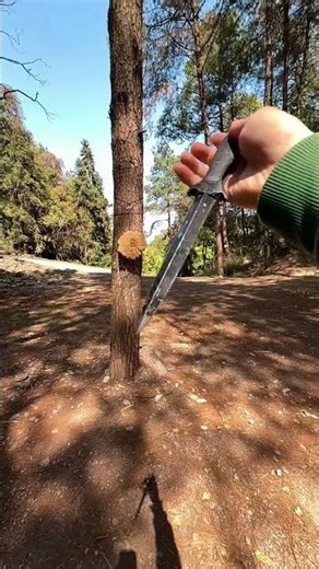 Master the Art of the Flying Sword - Unleash Your Inner Warrior